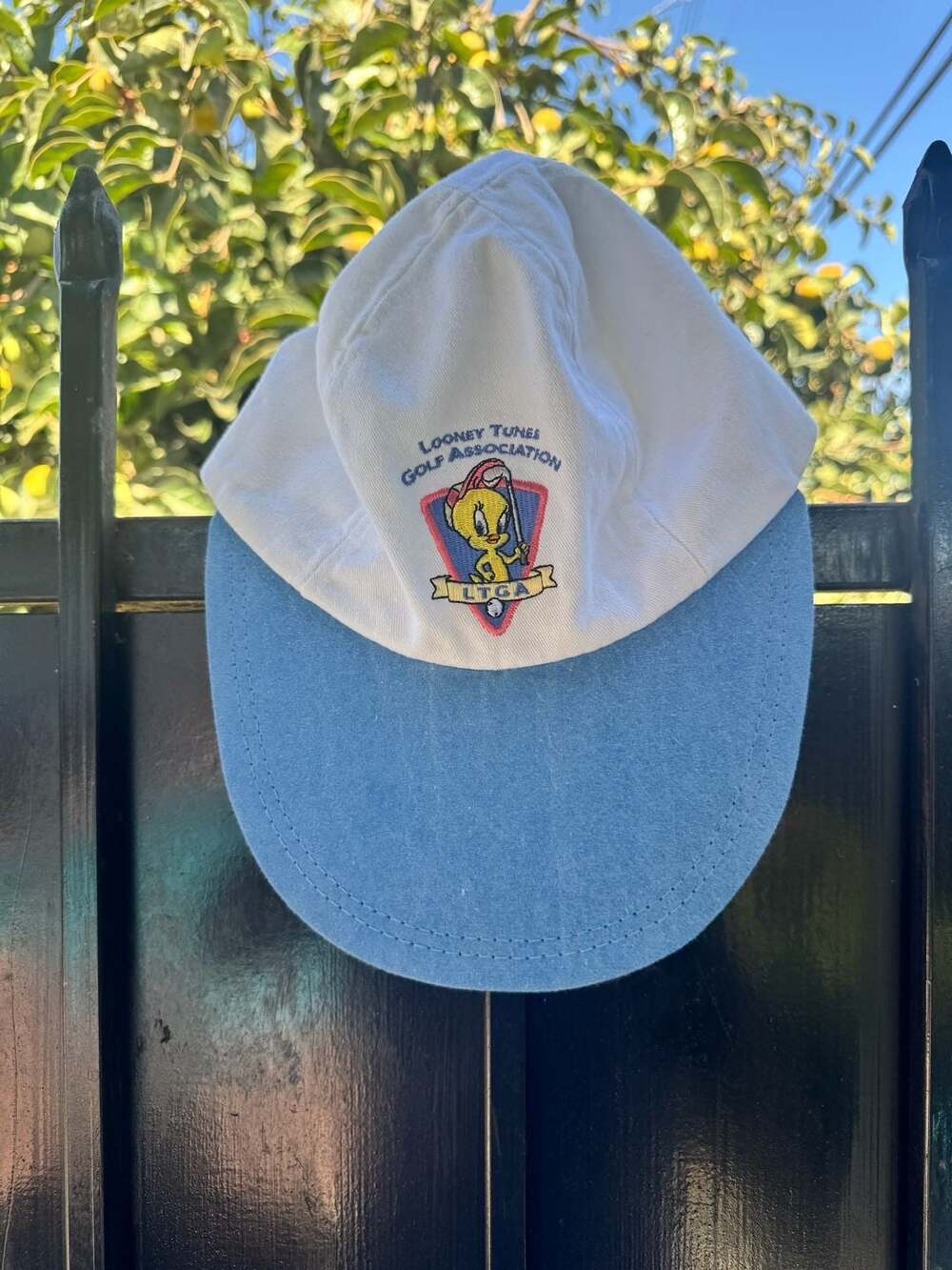 Vintage Warner Bros Studio Store Looney Tunes Golf Association Tweety Bird Hat C